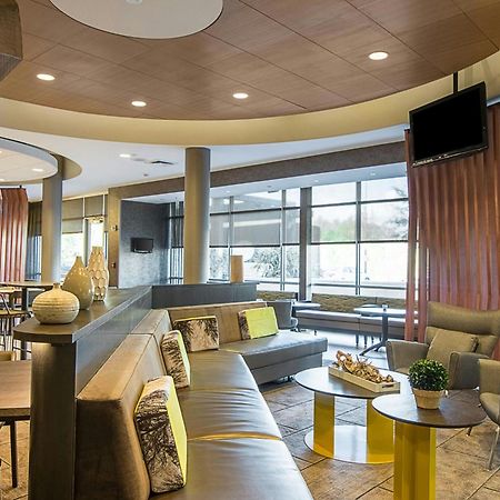 SpringHill Suites Tampa North/Tampa Palms Exteriör bild