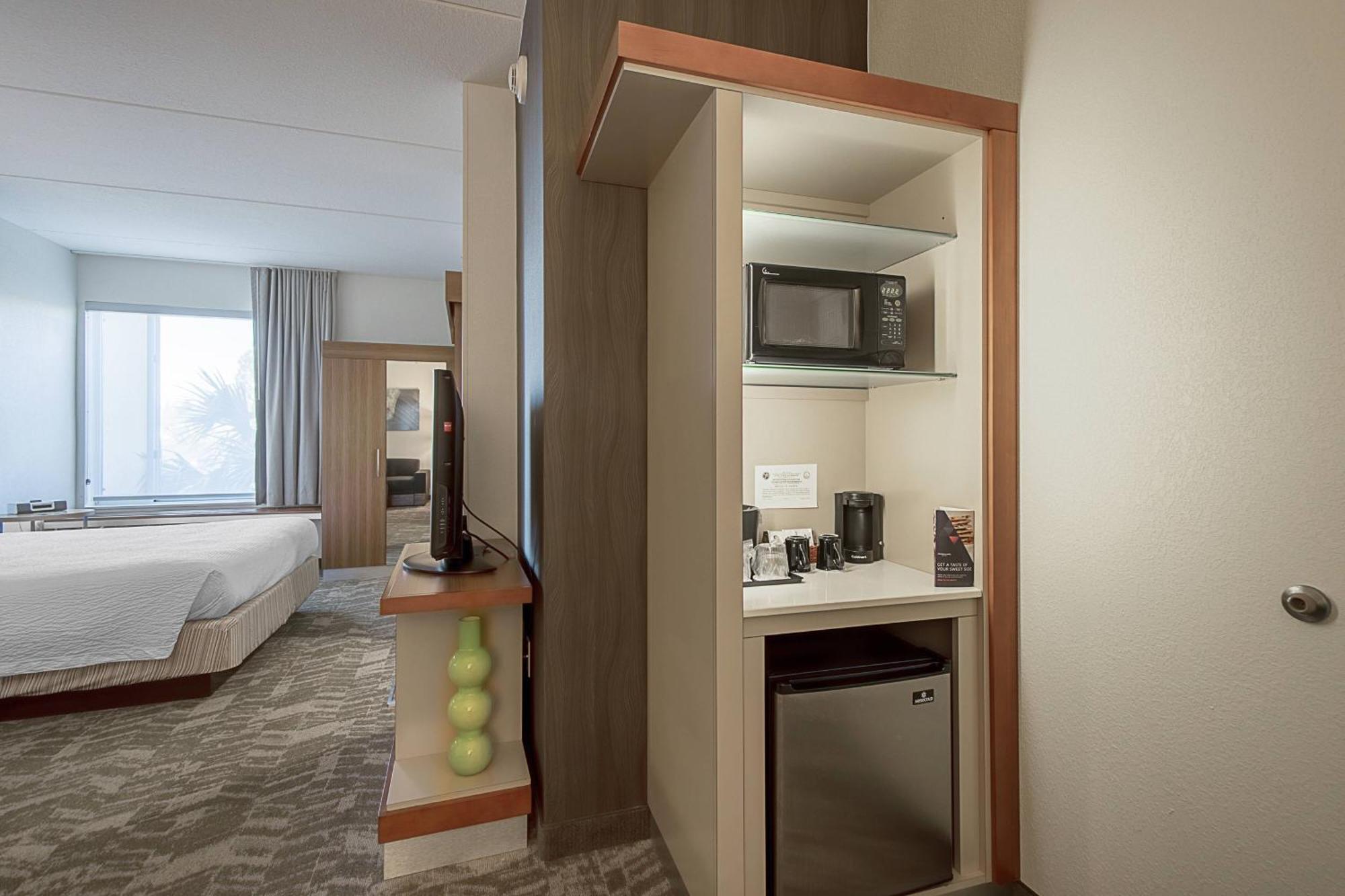 SpringHill Suites Tampa North/Tampa Palms Exteriör bild
