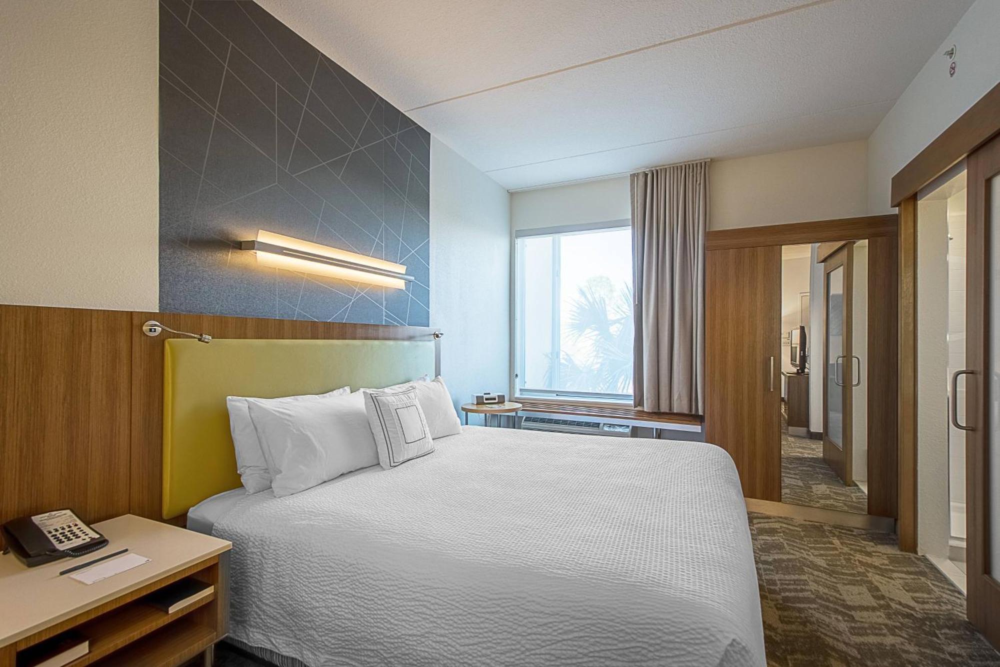 SpringHill Suites Tampa North/Tampa Palms Exteriör bild