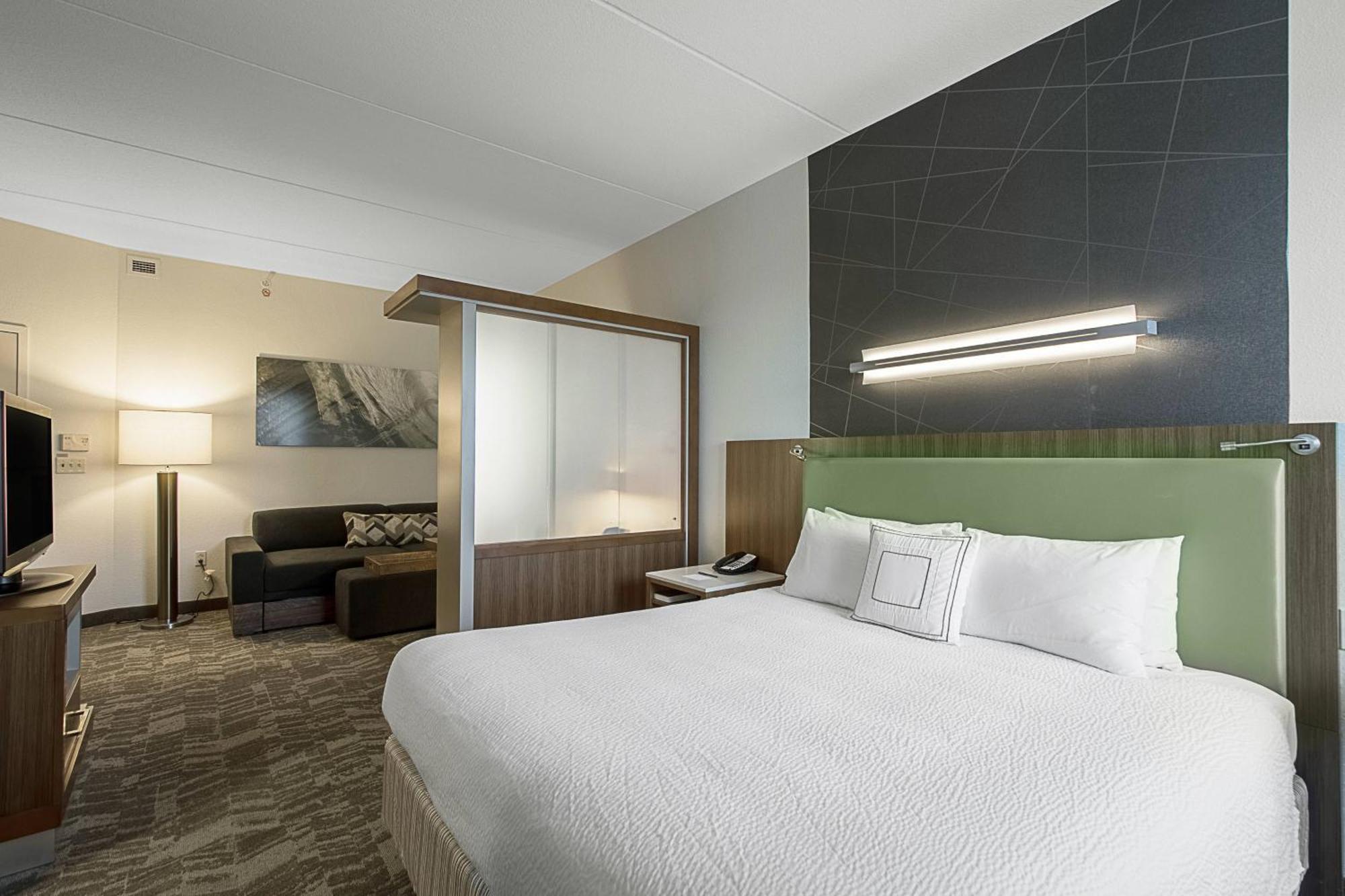 SpringHill Suites Tampa North/Tampa Palms Exteriör bild