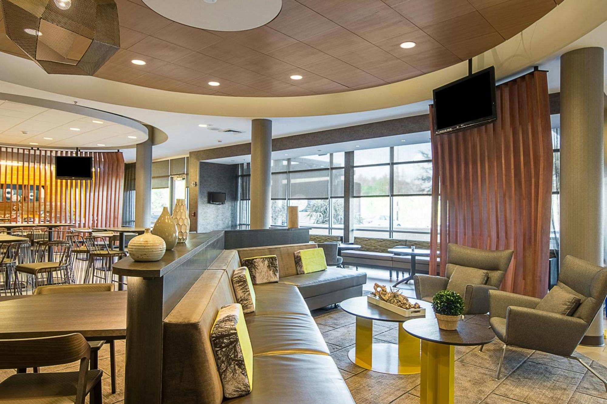SpringHill Suites Tampa North/Tampa Palms Exteriör bild