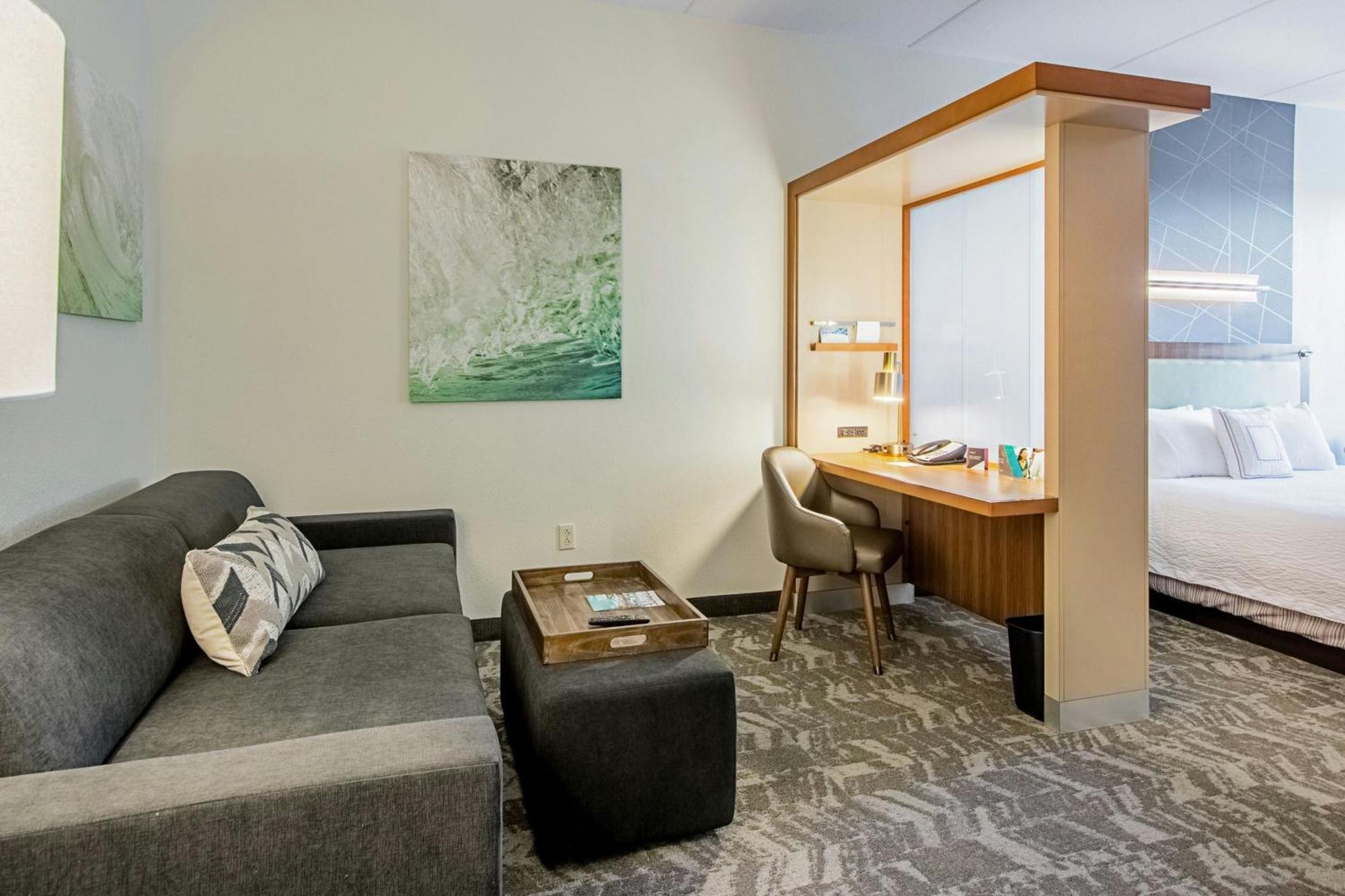 SpringHill Suites Tampa North/Tampa Palms Exteriör bild