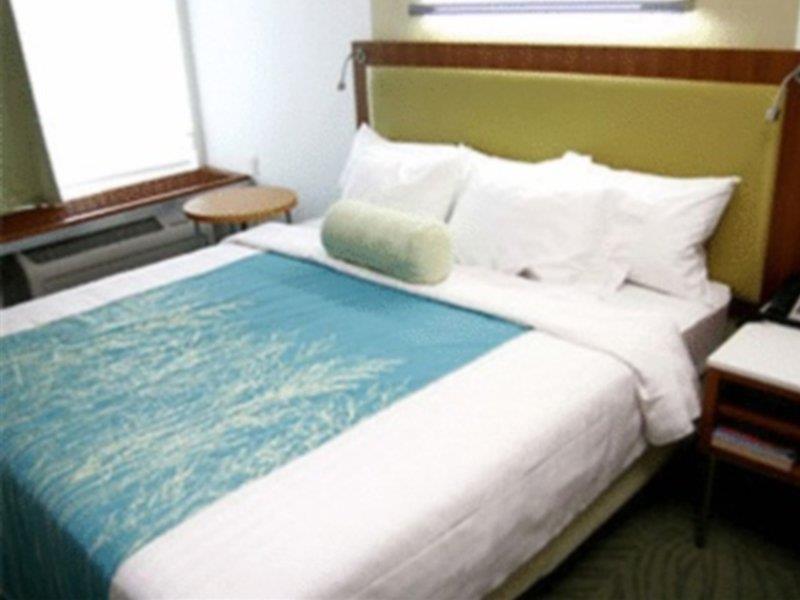 SpringHill Suites Tampa North/Tampa Palms Exteriör bild