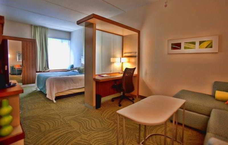 SpringHill Suites Tampa North/Tampa Palms Exteriör bild