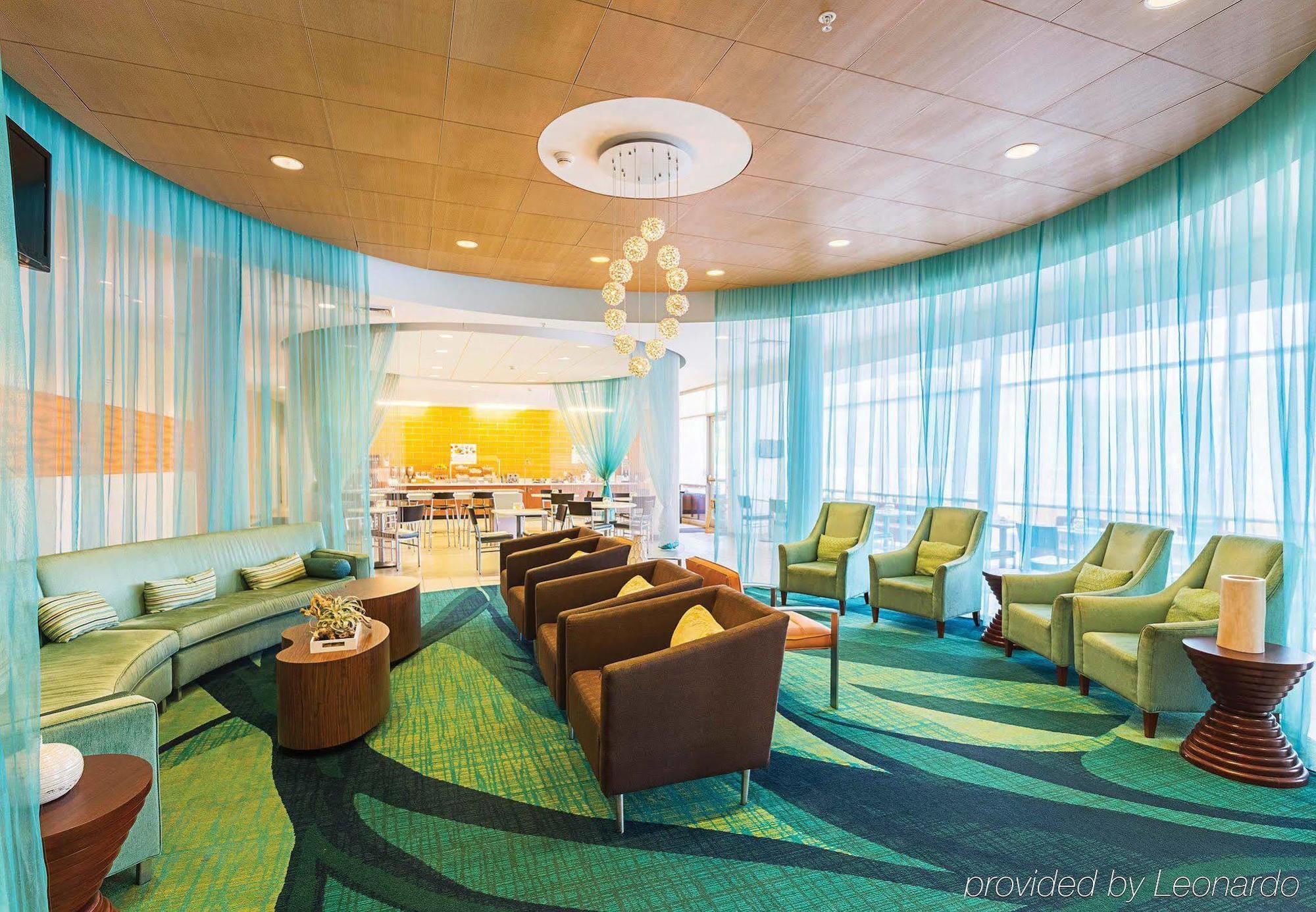 SpringHill Suites Tampa North/Tampa Palms Exteriör bild